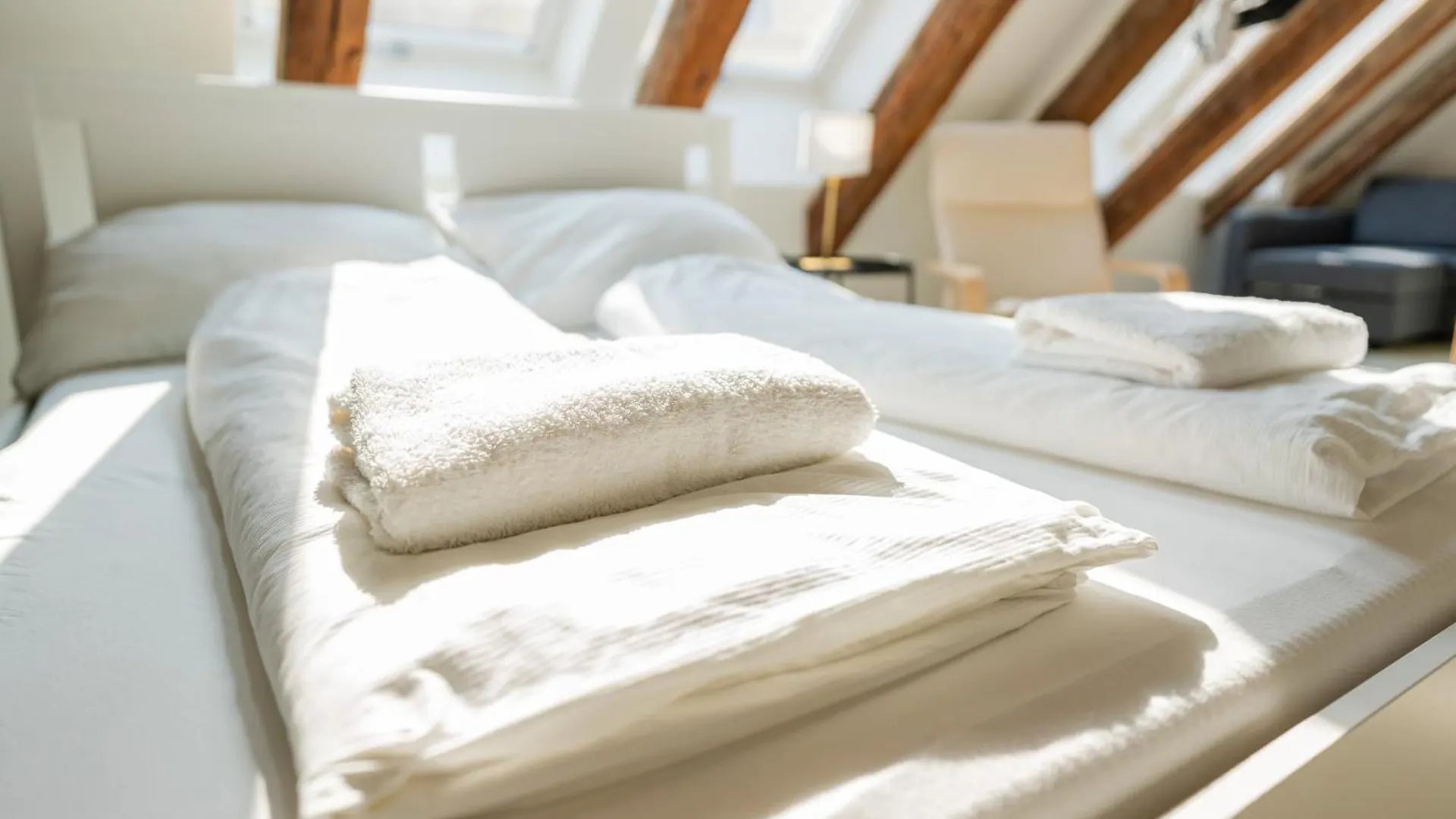 Central Living Apartments - Berggasse Vienna 0*,  Austria