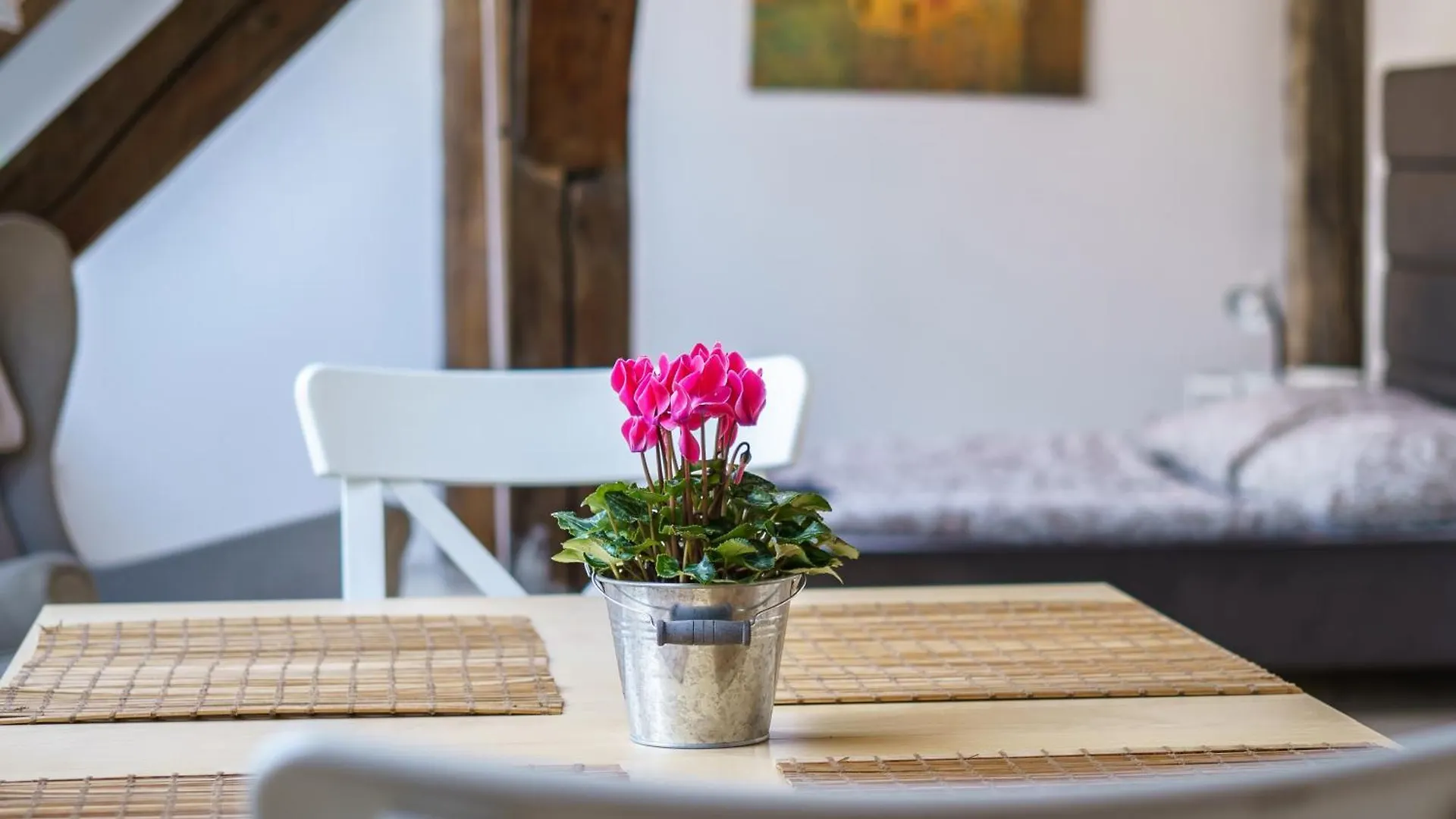 Central Living Apartments - Berggasse Vienna
