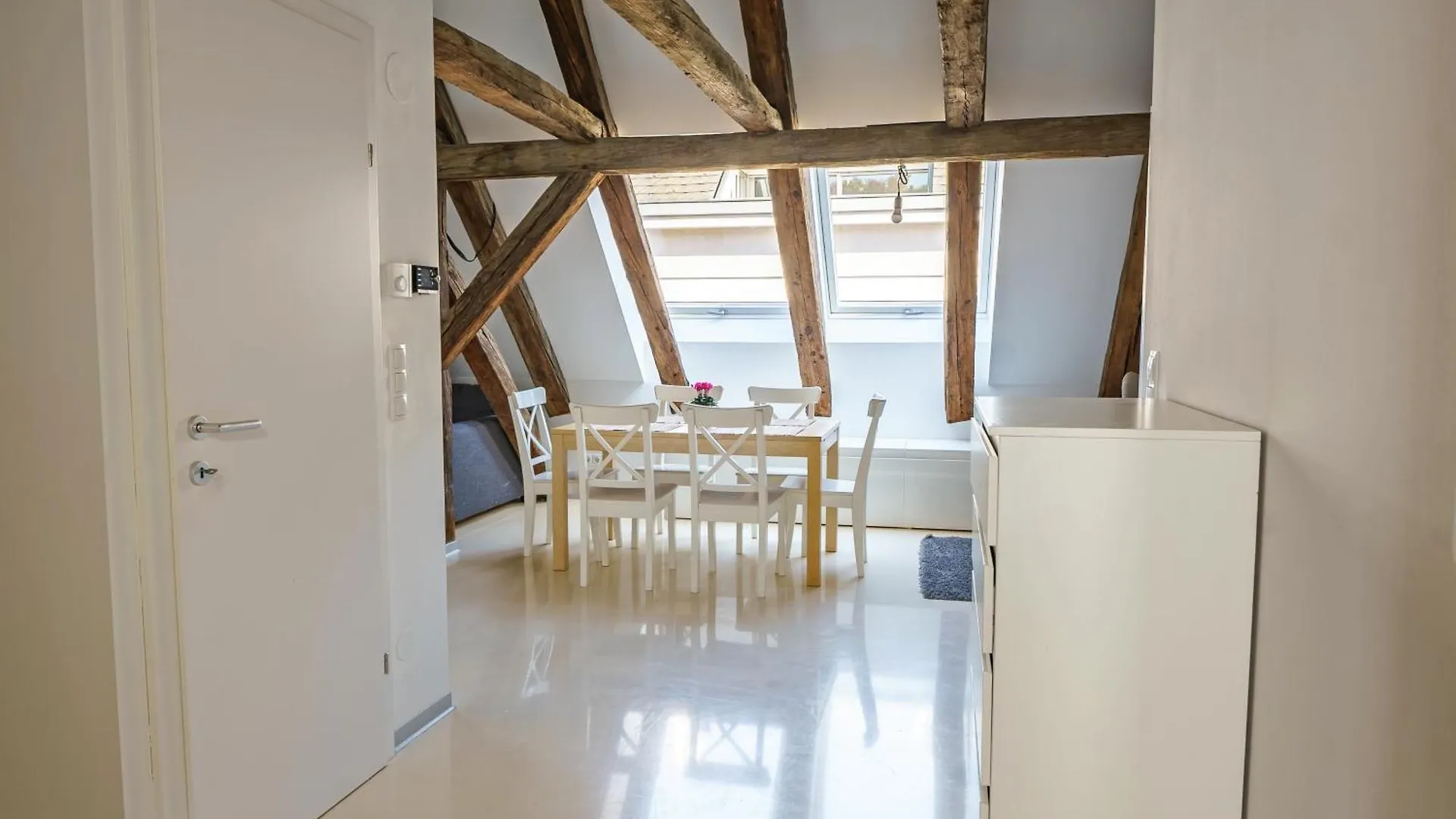 Central Living Apartments - Berggasse Vienna