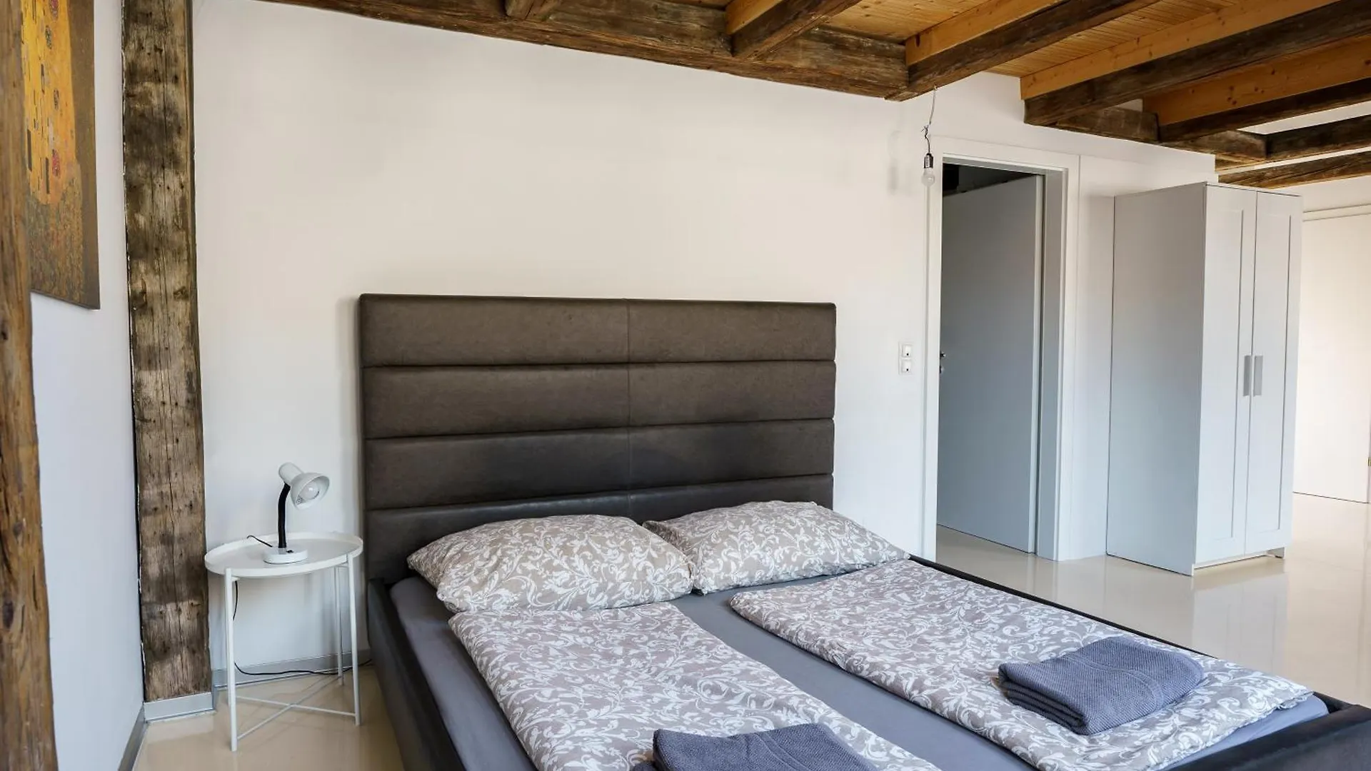 Central Living Apartments - Berggasse Vienna