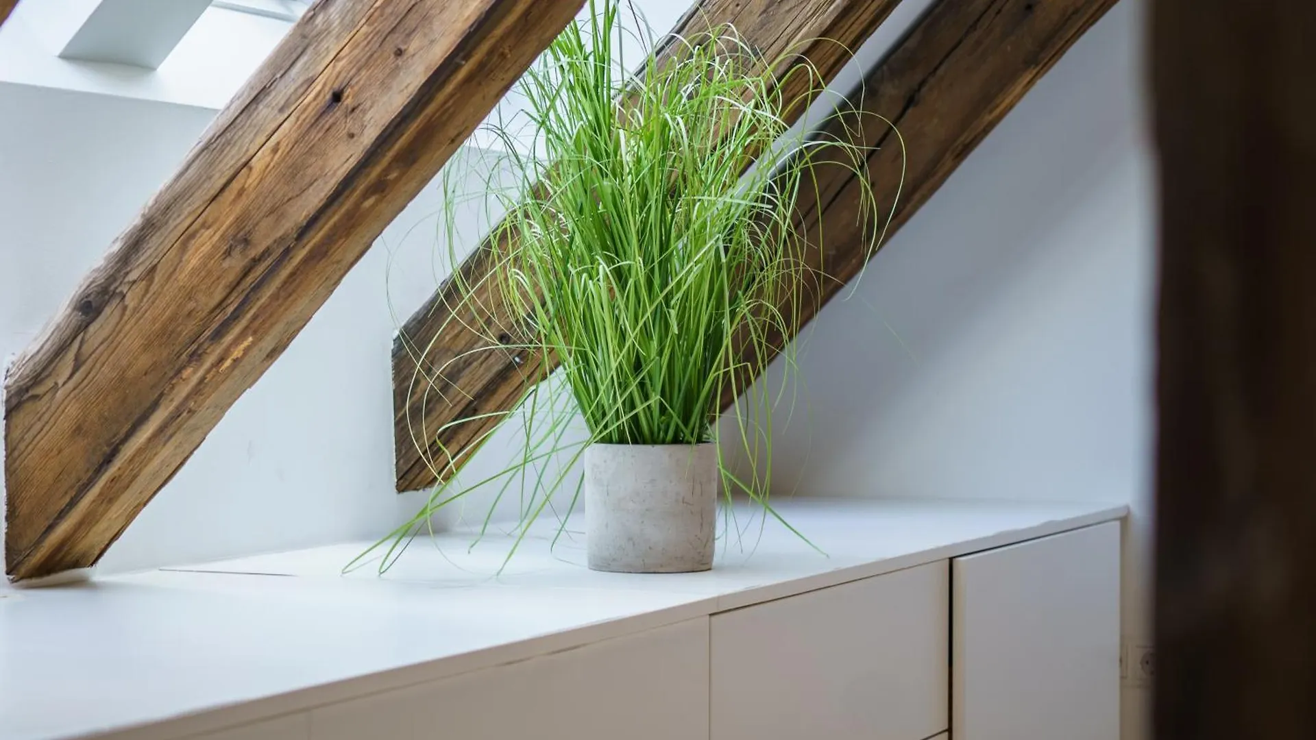 Central Living Apartments - Berggasse Vienna