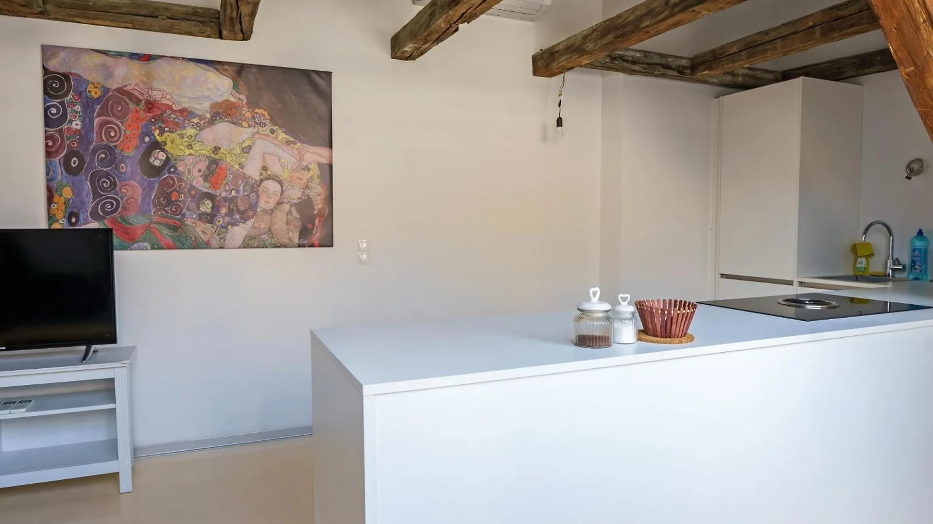 Central Living Apartments - Berggasse Vienna