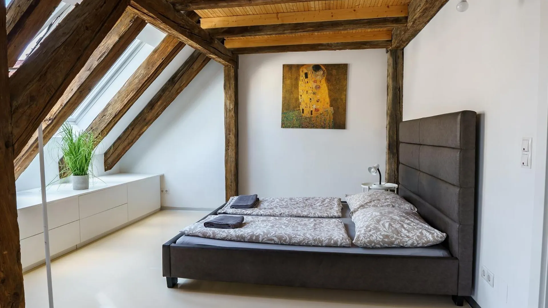 Central Living Apartments - Berggasse Vienna