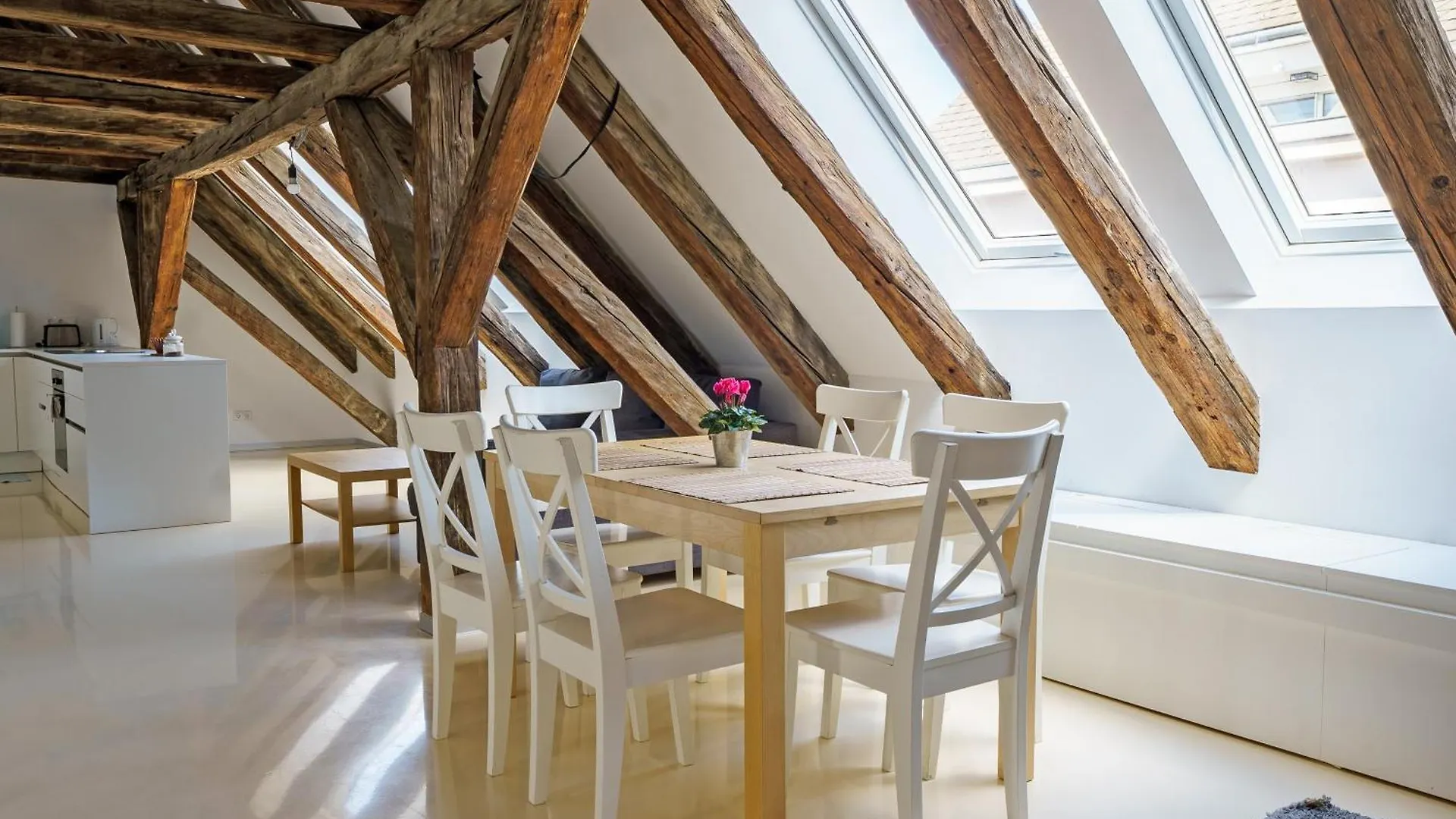 Central Living Apartments - Berggasse Vienna