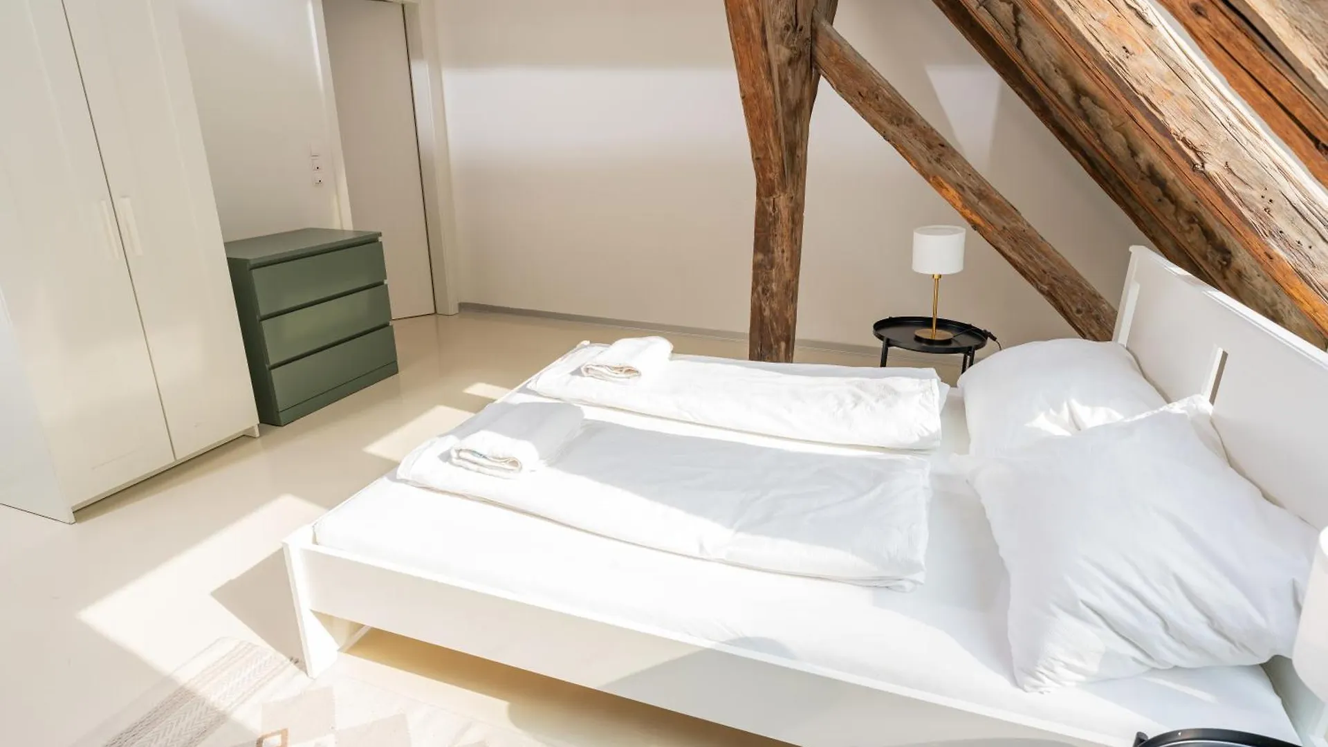 Central Living Apartments - Berggasse Vienna