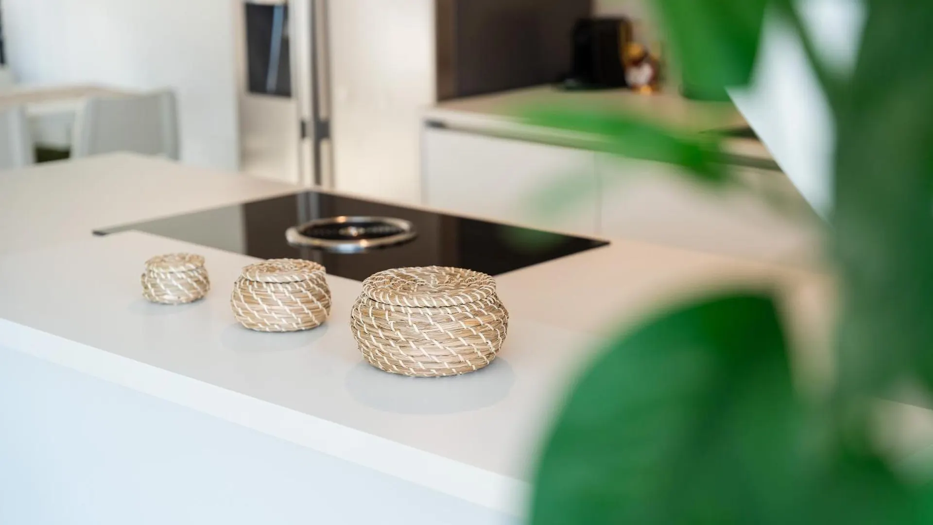 Central Living Apartments - Berggasse Vienna