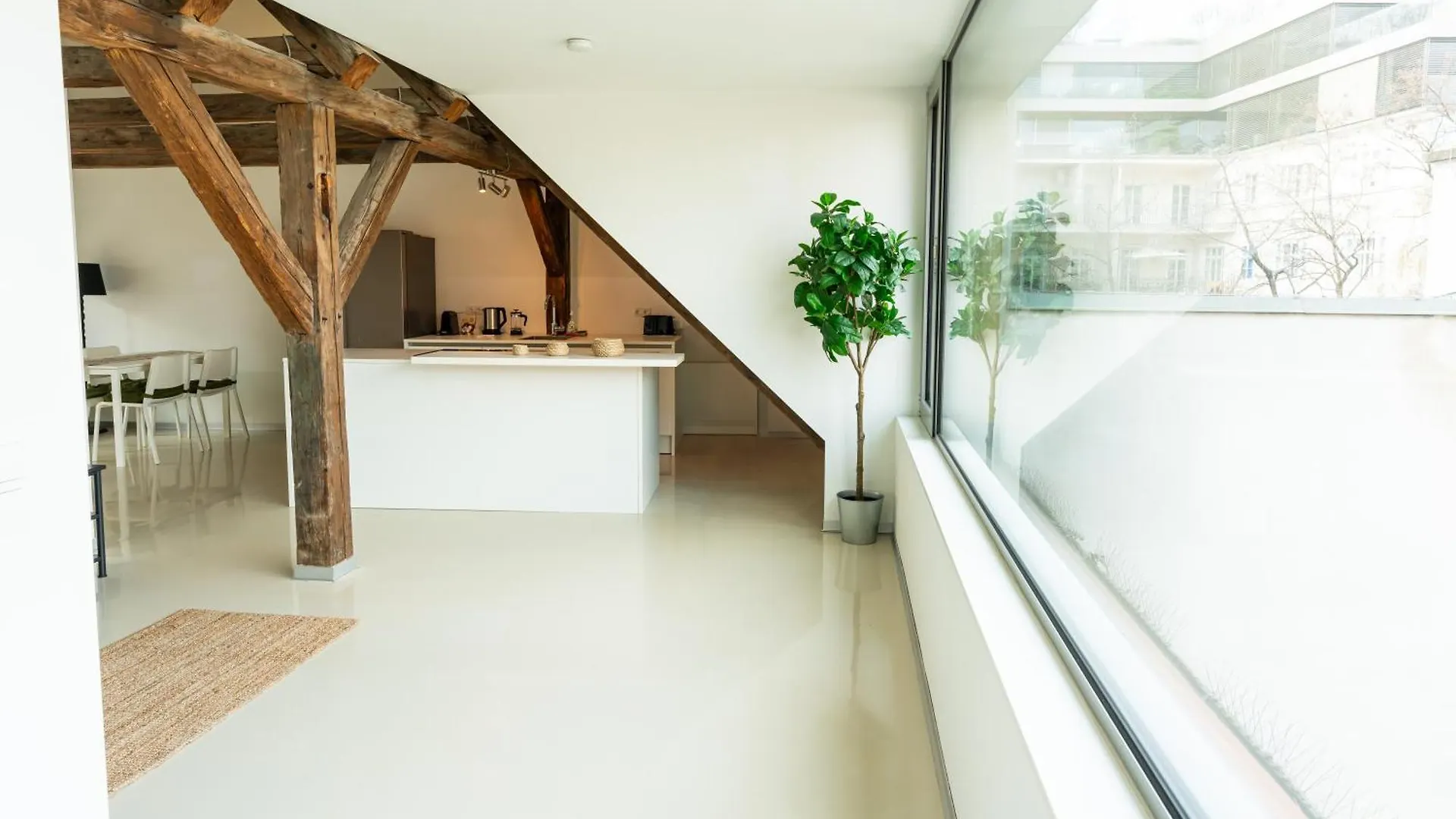 Central Living Apartments - Berggasse Vienna