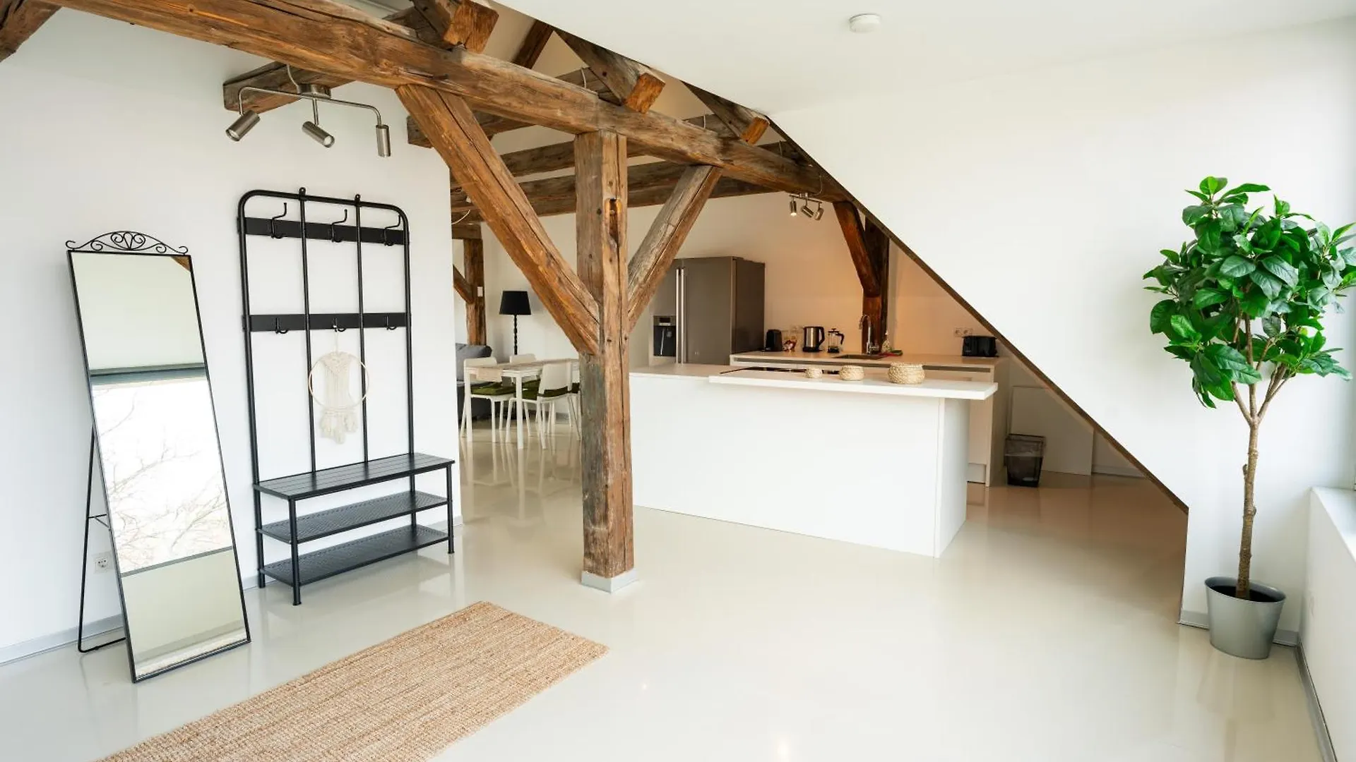 Central Living Apartments - Berggasse Vienna