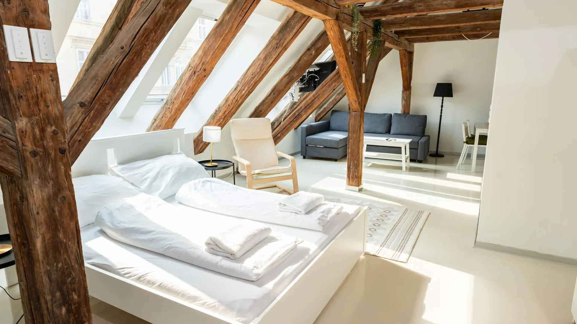 Central Living Apartments - Berggasse Vienna